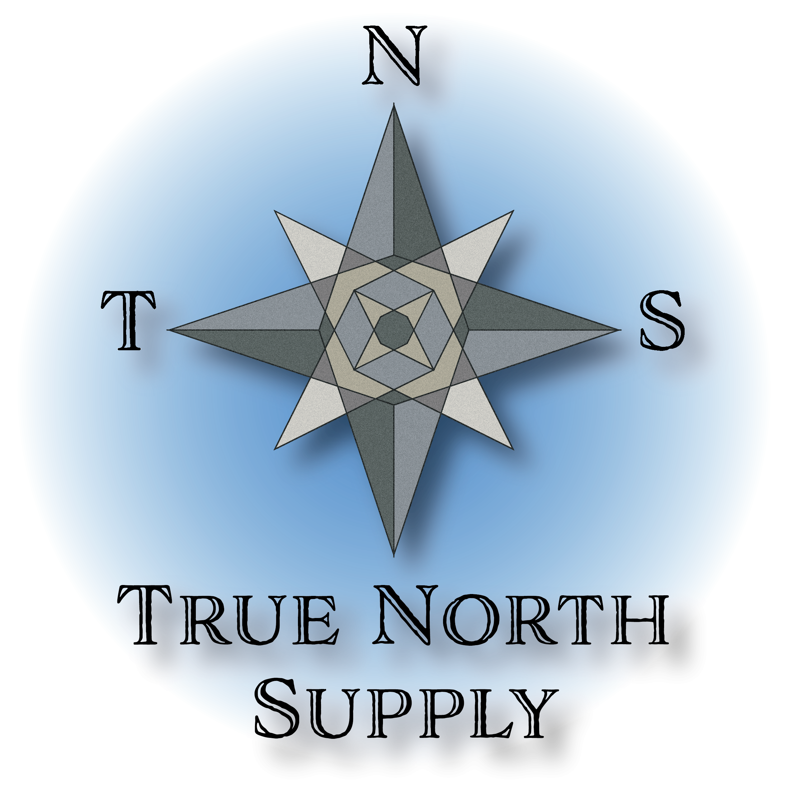 T.N.S. Logo 1